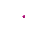 Success Animation
